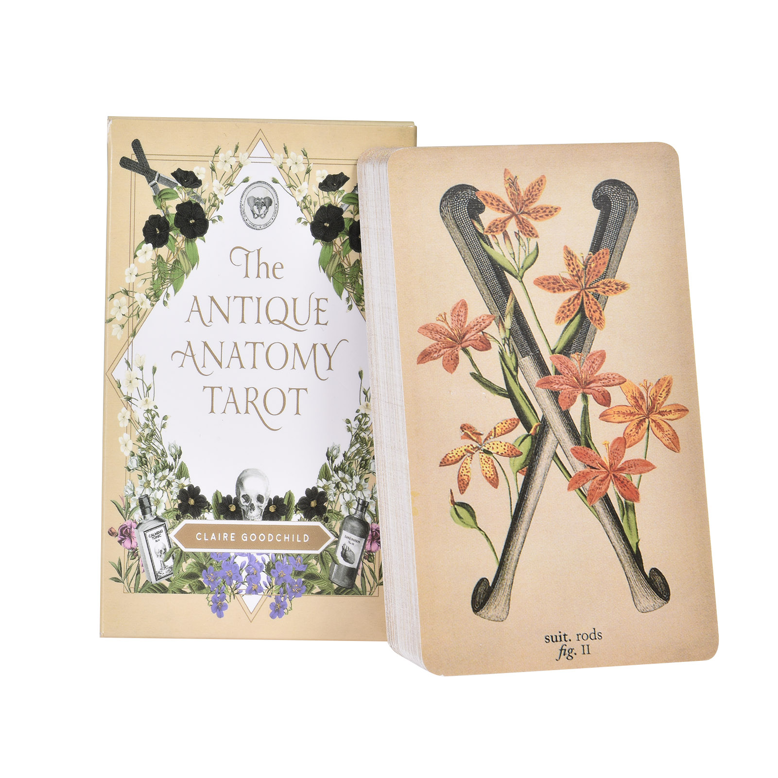 Tarot Cards Deck With Guidebook - Las Cartas del Tarot de Anatomía